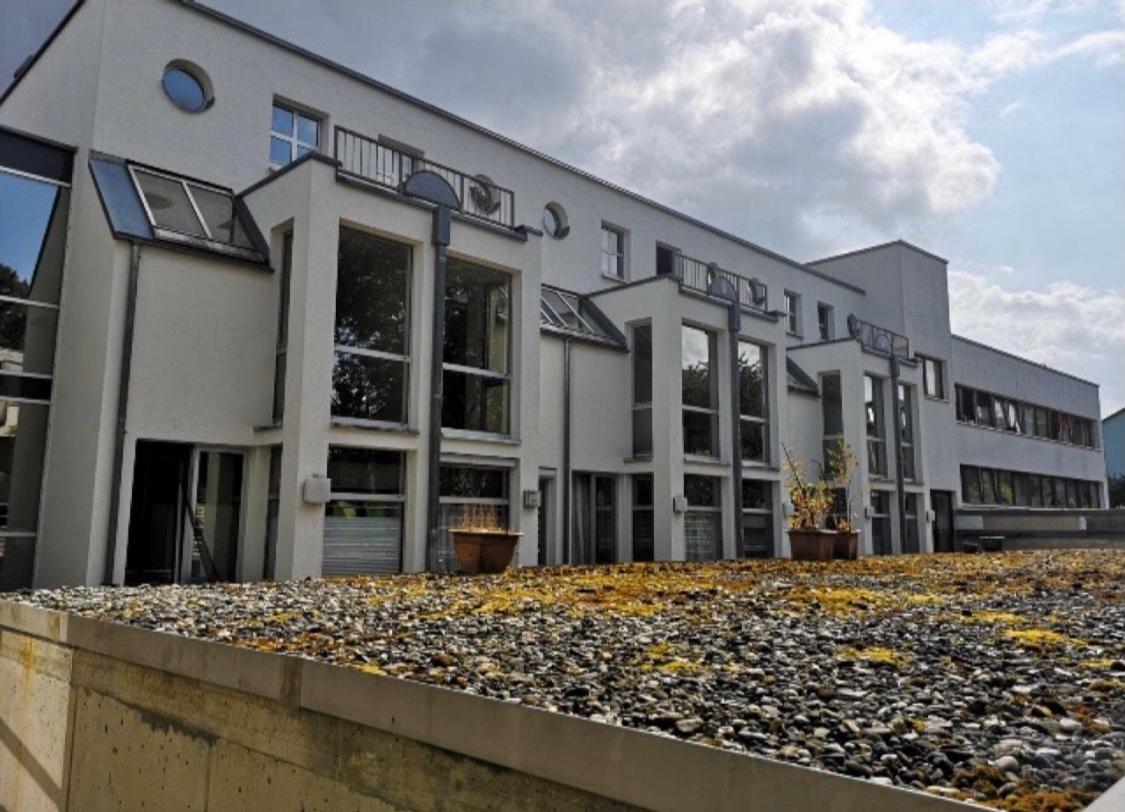Nice Apartment , Next To University , Wifi&Free Parking Regensburg Buitenkant foto
