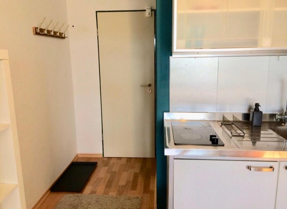 Nice Apartment , Next To University , Wifi&Free Parking Regensburg Buitenkant foto